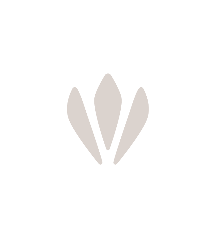 Vicari